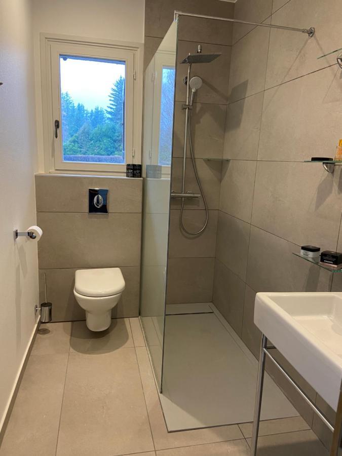 Chalet Pleine Vue & Spa Chamonix Buitenkant foto