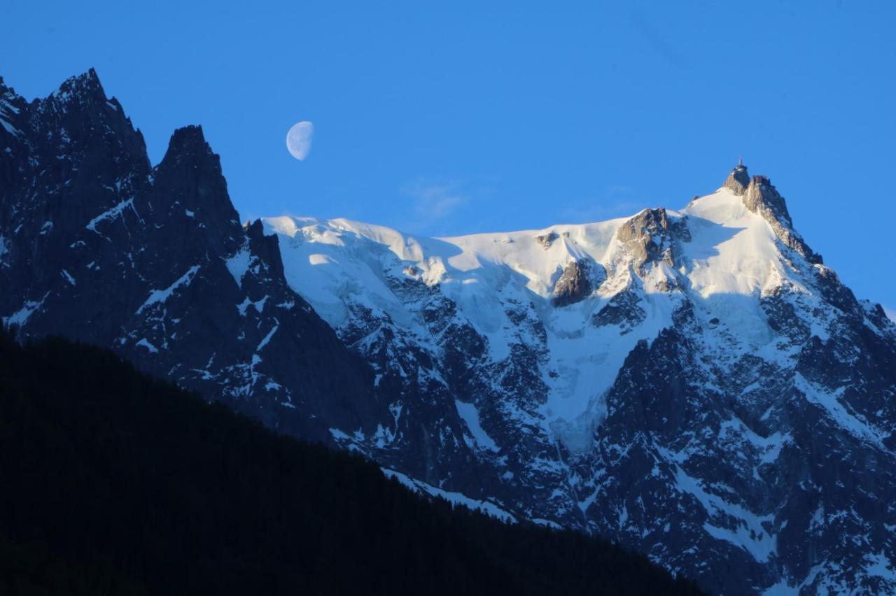 Chalet Pleine Vue & Spa Chamonix Buitenkant foto