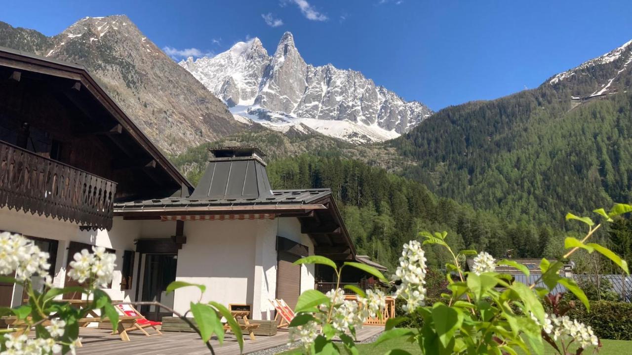 Chalet Pleine Vue & Spa Chamonix Buitenkant foto
